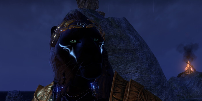 Nemedon the Guildmaster